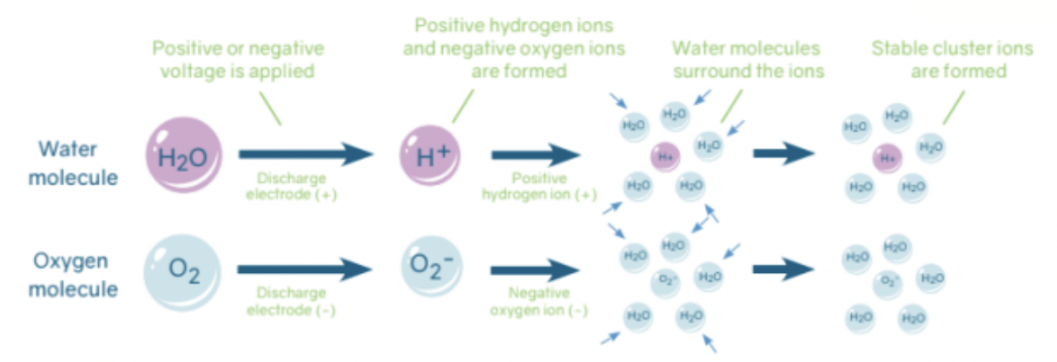 Plasmacluster information.